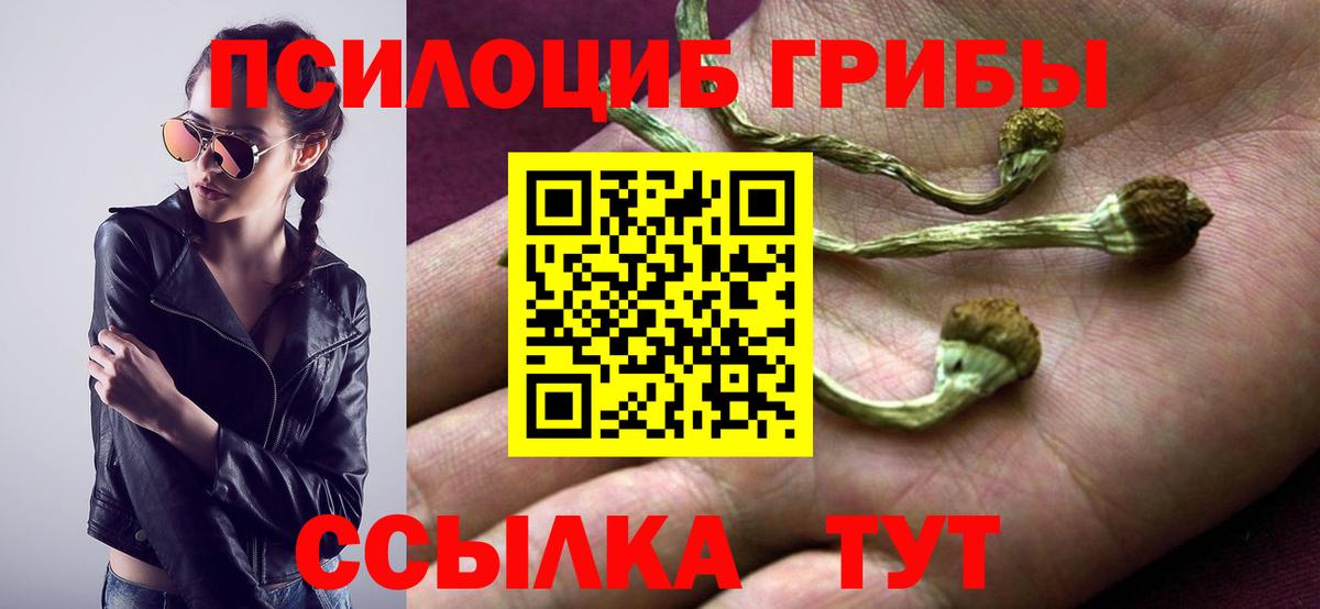 Галлюциногенные грибы мухоморы Керчь