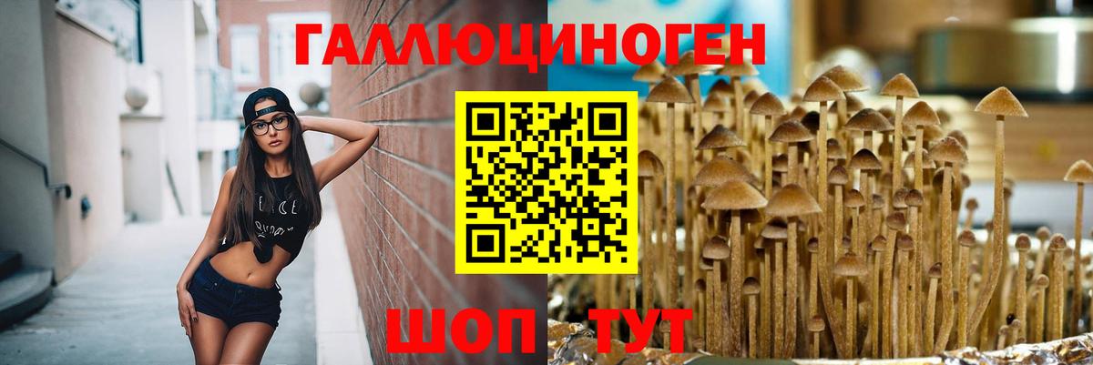 Псилоцибиновые грибы прущие грибы  Вход с VPN  Псилоцибиновые грибы Cubensis  Керчь 